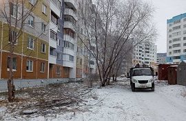 Кронирование деревьев на придомовой территории по адресу ул. Зенкова, 8